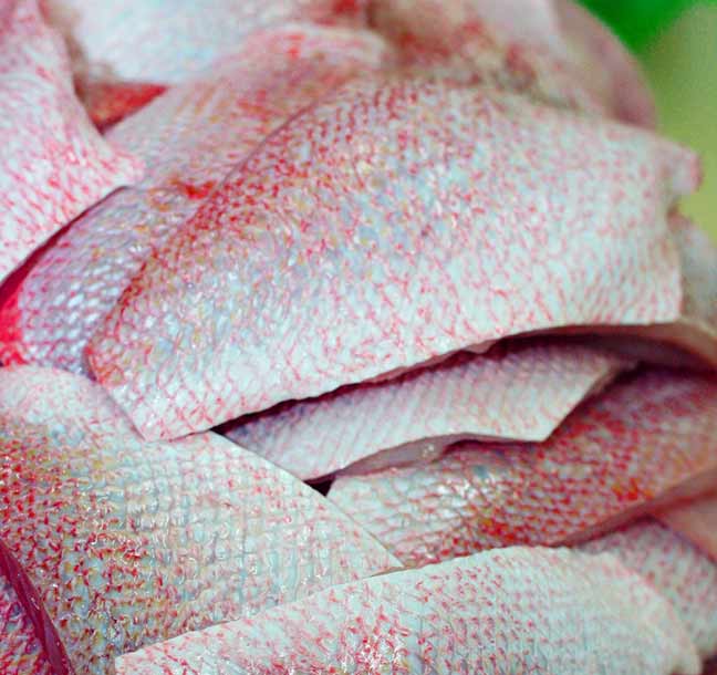 Crimson Snapper Fillet Crimson Snapper Fillet