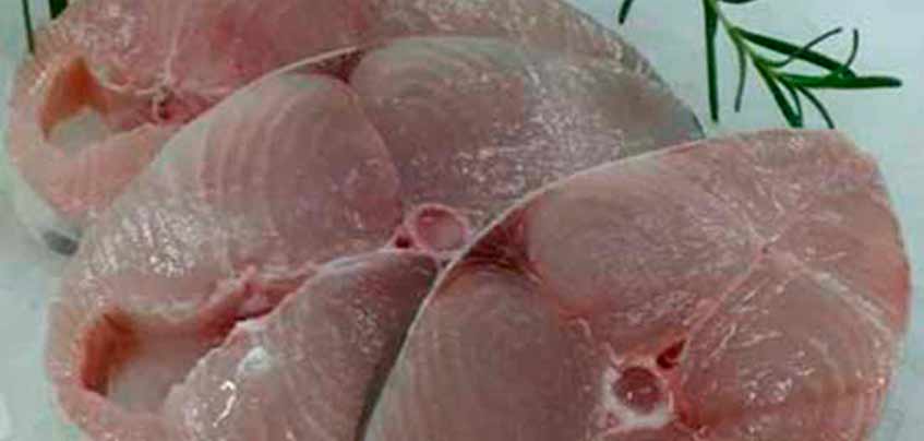 Kingfish-Steak-1 Kingfish