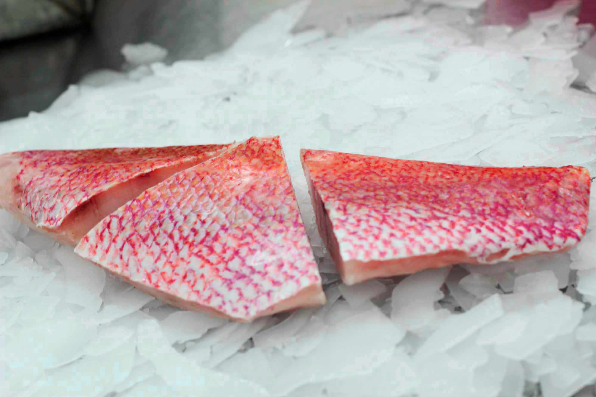 Portion Scarlet Snapper Portion Scarlet Snapper