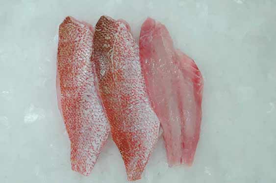 Red Snapper Fillet Red Snapper Fillet